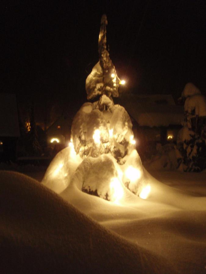 Ferienwohnung 'Annemarie' - Nur Fuer Private Urlaube Und Ferien Jahnsbach ภายนอก รูปภาพ